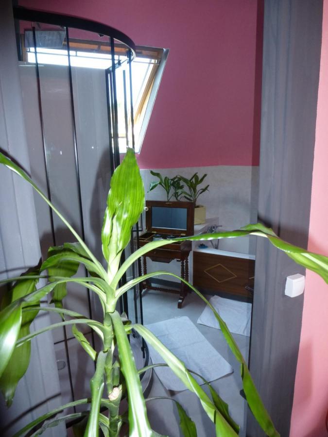 La Petite Vigne Alojamento de Acomodação e Pequeno-almoço Amboise