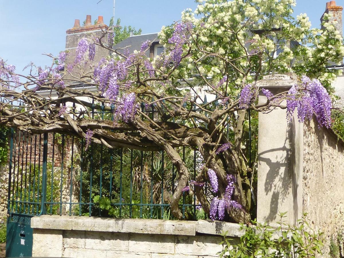 Bed & Breakfast La Petite Vigne