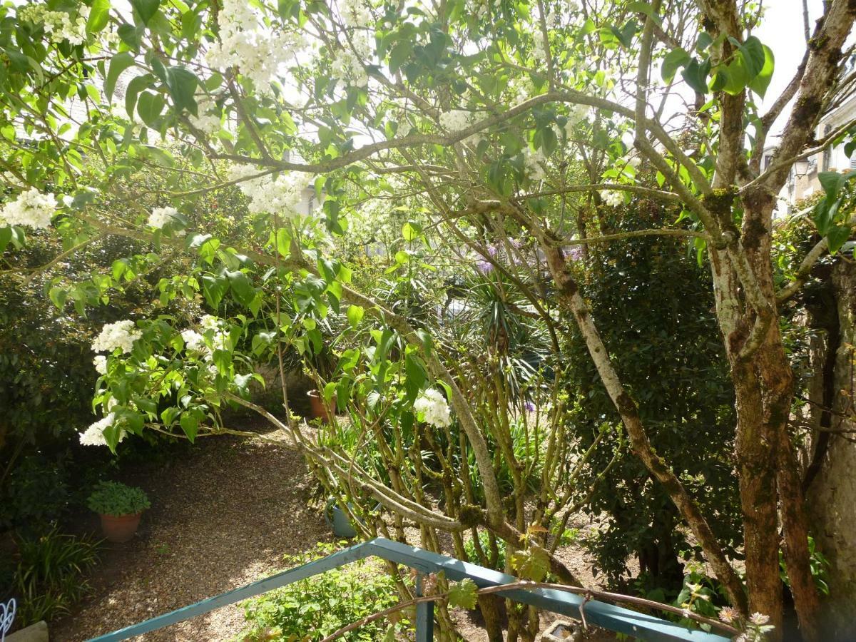 La Petite Vigne